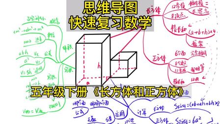 [图]易错点重难点复习《长方体和正方体》思维导图快速复习五年级数学