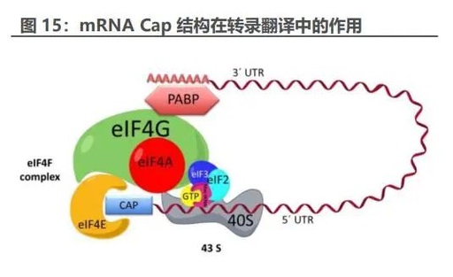 3 mrna 生产工艺复杂,新兴技术有望加速应用