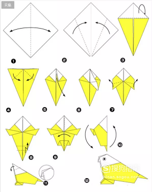 这是鹦鹉的折法.