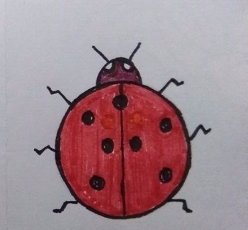瓢虫画法教程怎么画如何画七星瓢虫简笔画
