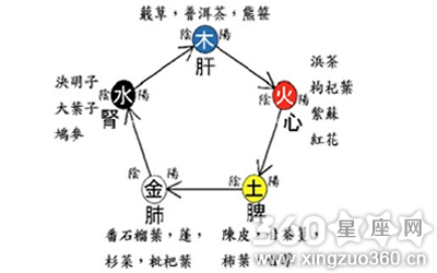 什么是人体阴阳八卦图,如何理解人体