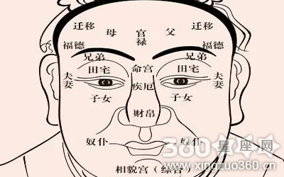 最新的相学大全图解