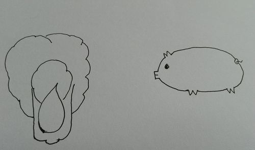 猪与大白菜简笔画