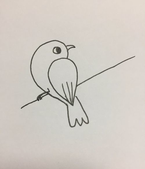 小鸟的简笔画画法