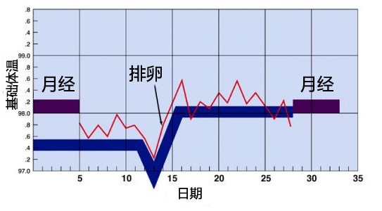 一次月经量多少算正常