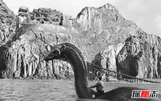 揭秘加拿大水怪奥古布古真相,实则一条巨大的海蛇
