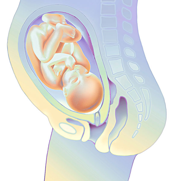 排卵后多久能检测出怀孕