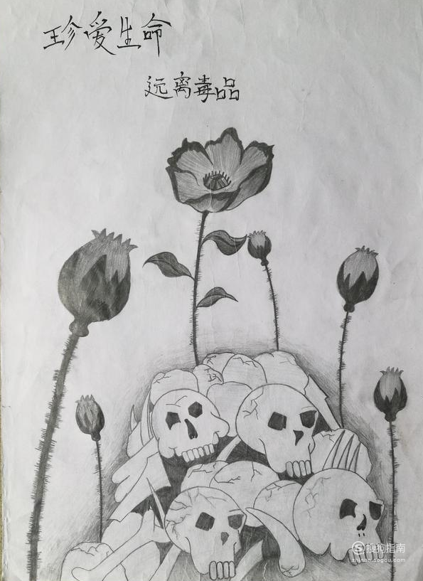 画出用骷髅堆出的山上长出的罂粟来表示毒品对人的危害.