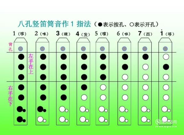 如何学竖笛简单教程