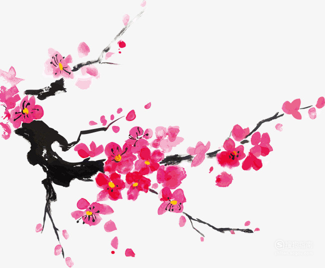 《梅花》是一首歌颂梅花精神的典型诗歌,把梅花画得鲜艳一些.