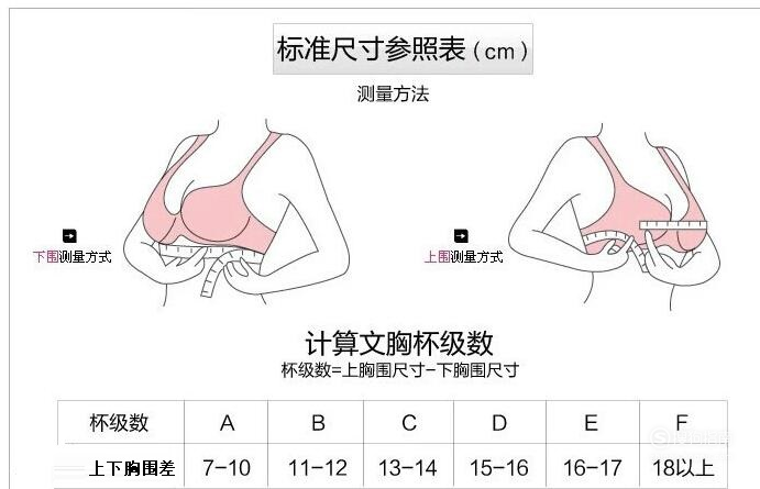 (即乳点bustpoint)为测点用软皮尺测量胸部最丰满处一周,即为胸围尺寸