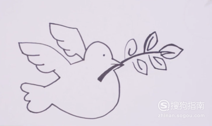 鸽子怎么画简单?