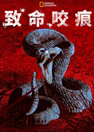致命咬痕第一季