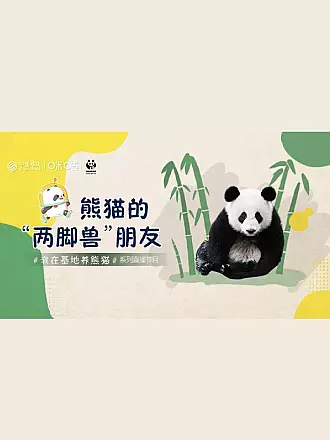 熊猫的两脚兽朋友——我在基地养熊猫系列直播节目