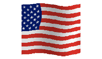 美国国旗日 搜狗百科