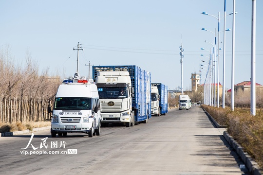 内蒙古:开通绿色通道 保证蒙古国捐赠羊快速通关 第1页