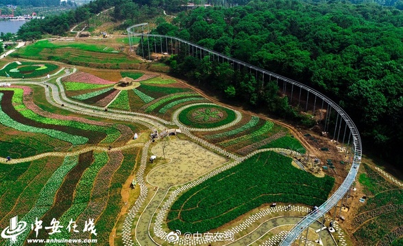 “五一”小长假期间,铜陵市钟鸣镇梧桐花谷景区鲁冰花园里(4) 第4页