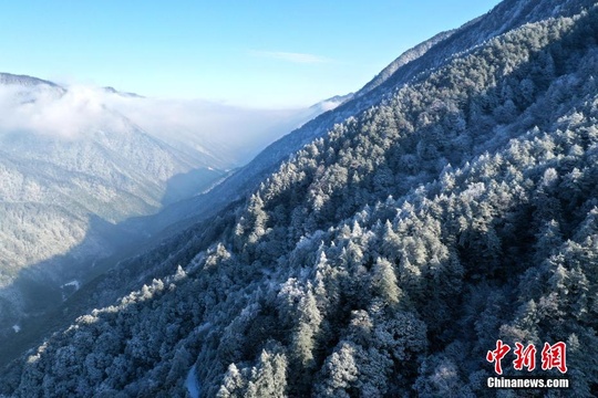 武夷山国家公园银装素裹 第1页