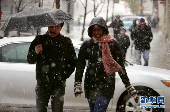 芝加哥的四月飘雪 第1页