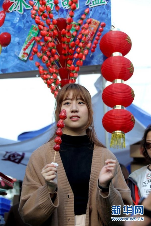 红红火火的香港年宵花市 第1页