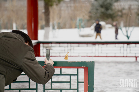 北京降雪节后“开工” 雪中京城银装素裹(8) 第8页