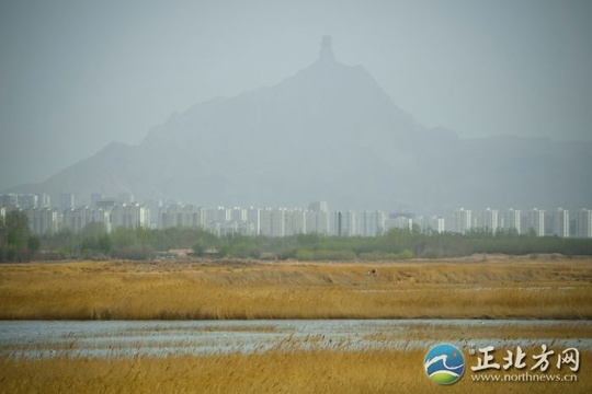 厉害了,这里有个国家级湿地公园! 第1页