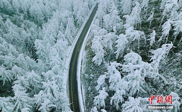 湖北现“林海雪原” 银装素裹风景如画 第1页