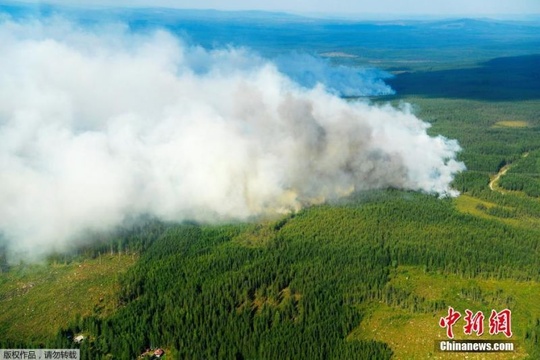 瑞典森林大火蔓延 政府出动飞机灭火(4) 第4页