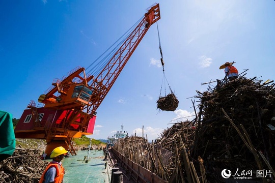 湖北宜昌:三峡近坝区启动突击清漂联合行动(4) 第4页