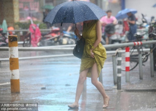 江苏南通:台风带来大风大雨 市民出行受影响 第1页