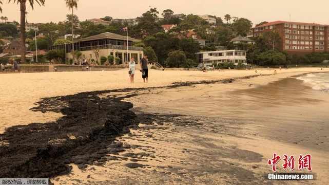 野火肆虐 澳悉尼金色海岸被灰烬染成“黑沙滩” 第1页