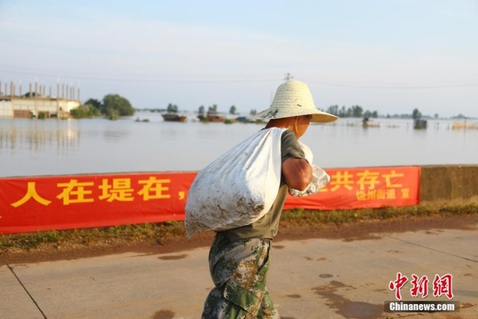 江西鄱阳圩堤抢险现场:烈日下加固堤坝(6) 第6页