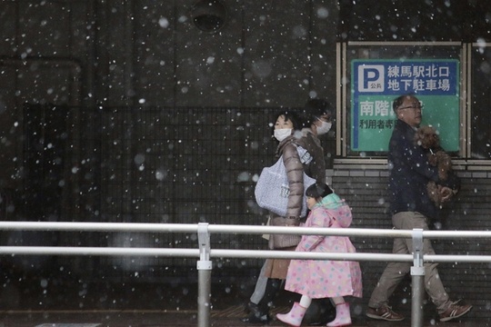 东京三月降雪 城市行人鲜少 第1页