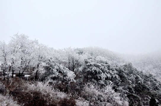 青州仰天山 银装素裹开启“冰雪模式”(2) 第2页