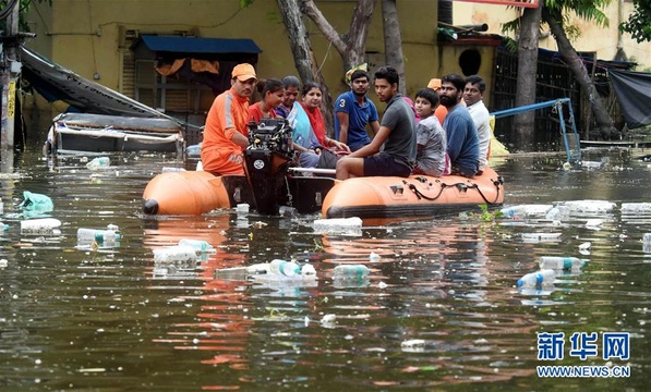洪灾造成印度比哈尔邦42人丧生 第1页