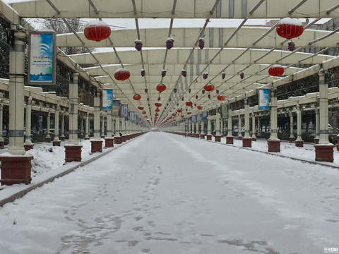 吐鲁番持续降雪 外卖小哥冒雪送外卖(4) 第4页