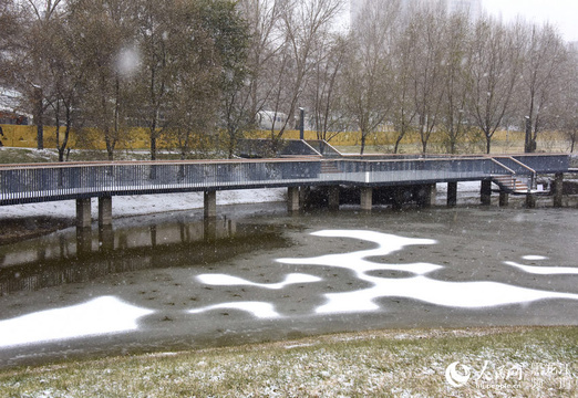 哈尔滨市迎来立冬后首场降雪 跟随镜头感受北国冰雪风光(6) 第6页