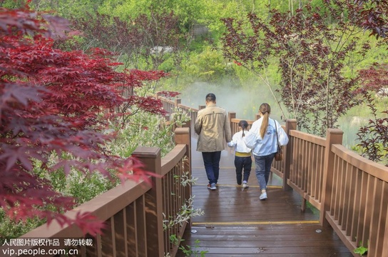 江苏宿迁:三台山“仙境”惹人醉(9) 第9页