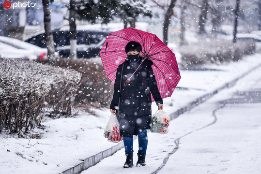 沈阳普降春雪 第1页