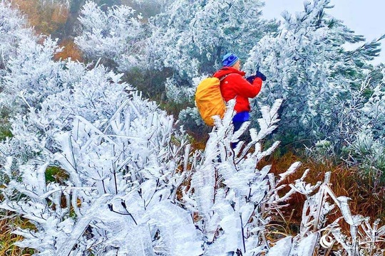 冬日美景醉游人 福建多地出现雾凇景观(2) 第2页