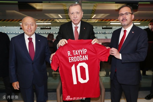 土耳其总统埃尔多安观战世界杯欧洲区预选赛 第1页
