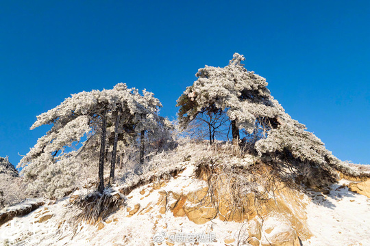 大别山腹地霍山县迎入冬首场雪:雪舞银蛇 分外妖娆(8) 第8页