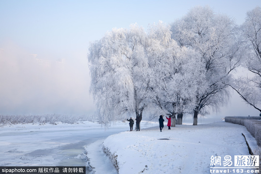 大雾弥漫北国江城 吉林市再度出现雾凇美景 第1页