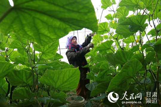 春风又度玉门关 鸣沙山下春耕忙 第1页