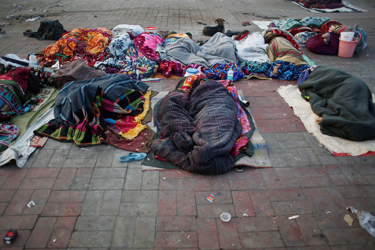 印度新德里持续低温 无家可归者沿街而睡(3) 第3页