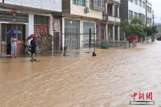 江西武宁普降暴雨 低洼地段积水农田被淹(7) 第7页