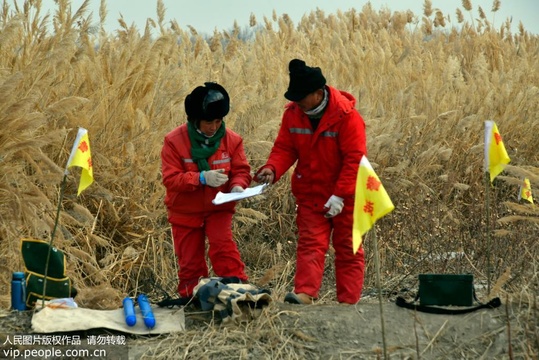 新疆塔里木盆地:数九寒天地质勘探跨新年(4) 第4页