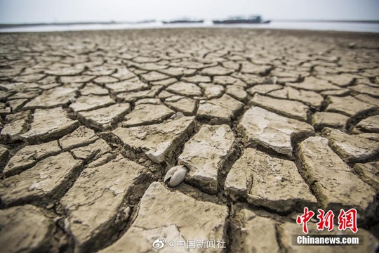 旱!鄱阳湖水位持续走低 江河湖泊持续低枯 第1页