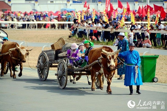 2020·兴安盟那达慕奏响草原欢歌(8) 第8页