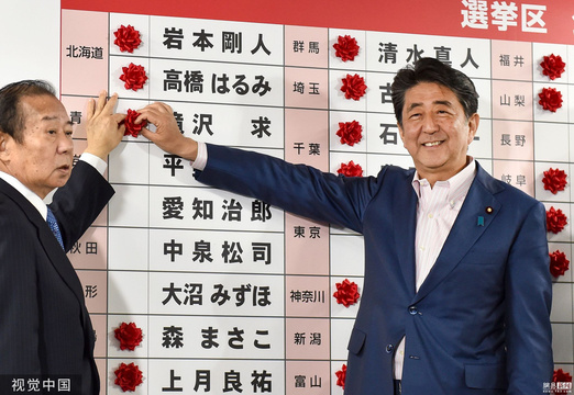 日本参议院选举:执政联盟获议席超半数(9) 第9页